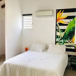 https://kz-tropicale.comcaribbean.com